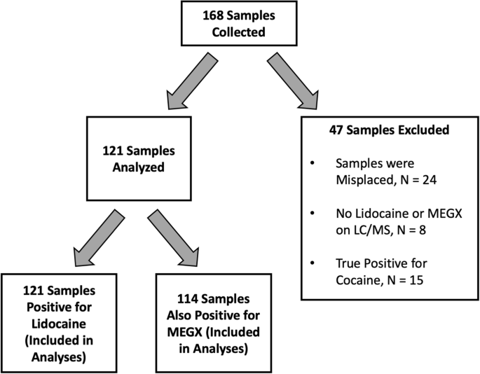Does Lidocaine Cause False Positive Results On Cocaine Urine Drug