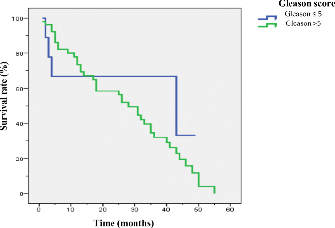 Prognostic Factors Influencing Survival Rate Of Patients Operated For Prostate Related Metastatic Spinal Cord Compression Mscc Springerlink