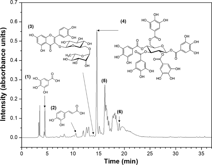 Featured image of post How to Make Chemical Composition Of Mango Seed Kernel