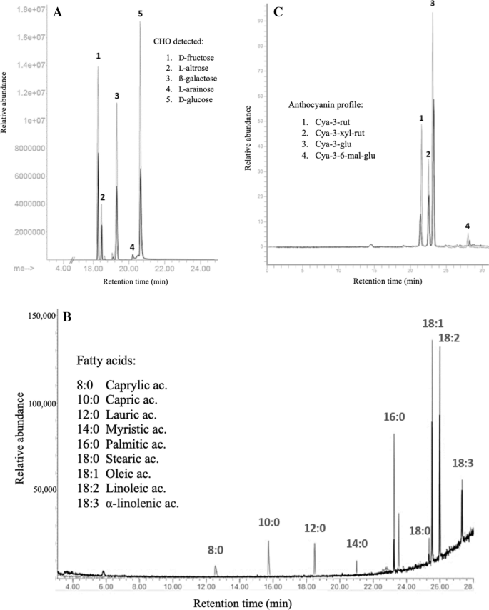 Profiling Modifications In Physicochemical Chemical And Antioxidant Properties Of Wild Blackberry Rubus Sp During Fermentation With Ec 1118 Yeast Springerlink