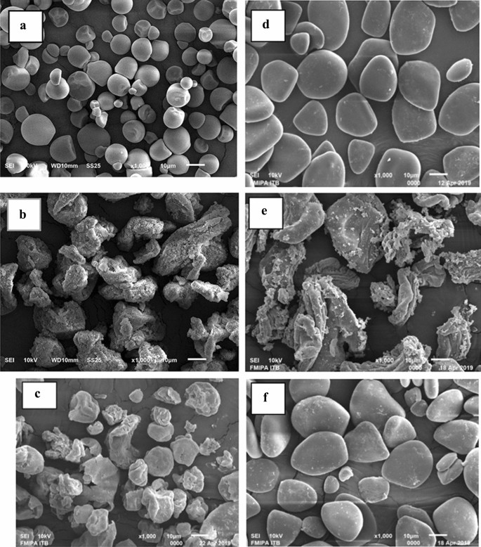 Induction of Maize Starch Gelatinization and Dissolution at Low