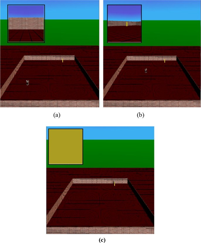 figure 24