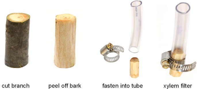 research paper on water purification figure 19