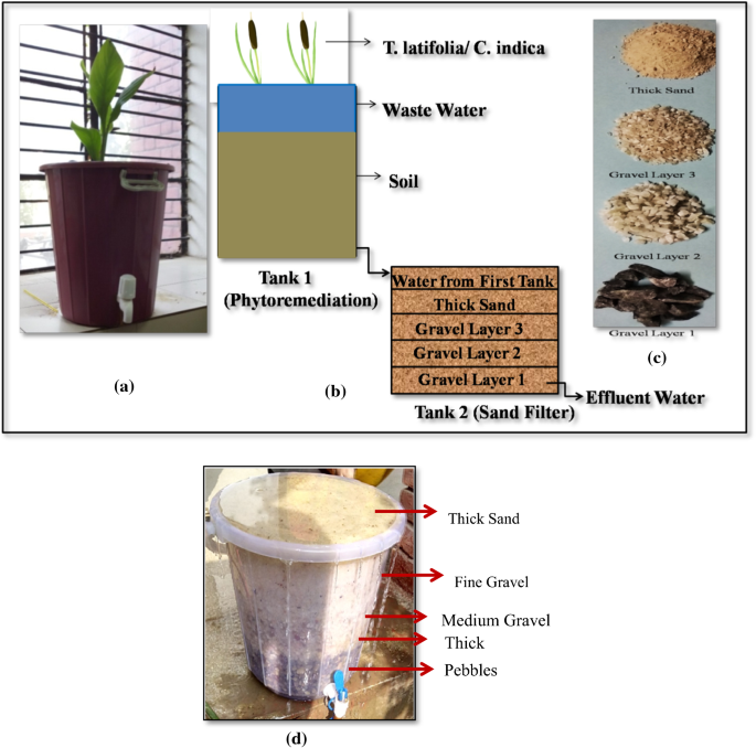 The purification of wastewater on a small scale by using plants and sand  filter | SpringerLink