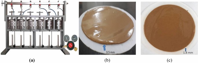 Dynamic modeling of the formation damage and mud cake deposition using  filtration theories coupled with SEM image processing  ScienceDirect