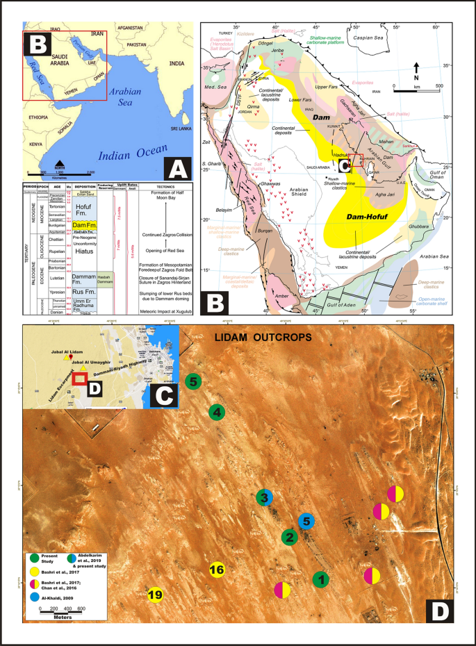 Facies within the Earlie Formation. A) Interbedded sandstone and