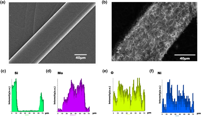 Facile Assembly Of Single A Moo 3 Microbelt B Ni Oh 2 Heterojunction Ultraviolet Visible Detector With Fast Switching Characteristics Springerlink