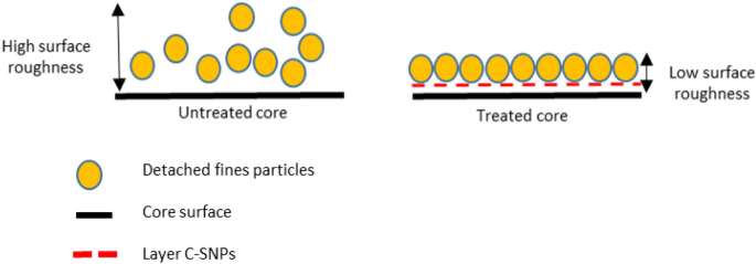 Experimental investigation of colloidal silica nanoparticles (C 