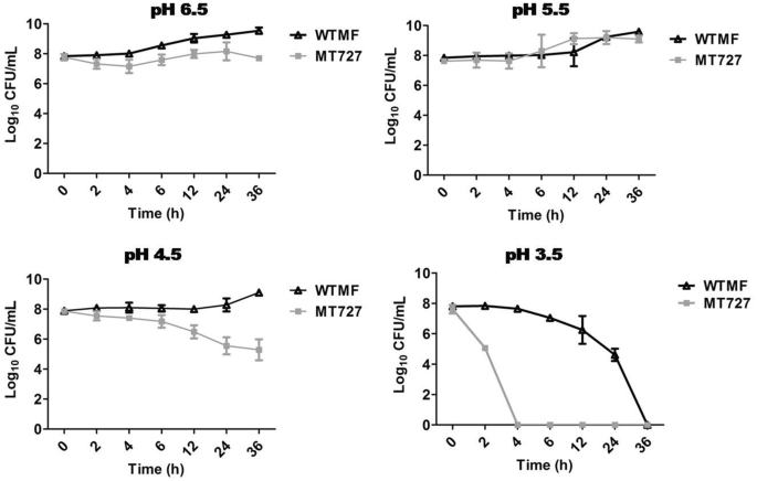 Ribosomal maturation factor (RimP) is essential for survival of  nontuberculous mycobacteria Mycobacterium fortuitum under in vitro acidic  stress conditions | SpringerLink