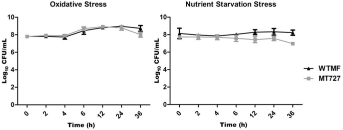 Ribosomal maturation factor (RimP) is essential for survival of  nontuberculous mycobacteria Mycobacterium fortuitum under in vitro acidic  stress conditions | SpringerLink