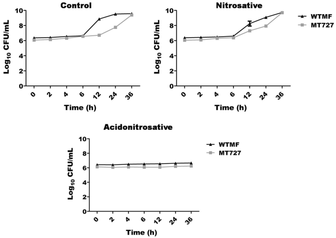 Ribosomal maturation factor (RimP) is essential for survival of  nontuberculous mycobacteria Mycobacterium fortuitum under in vitro acidic  stress conditions | SpringerLink