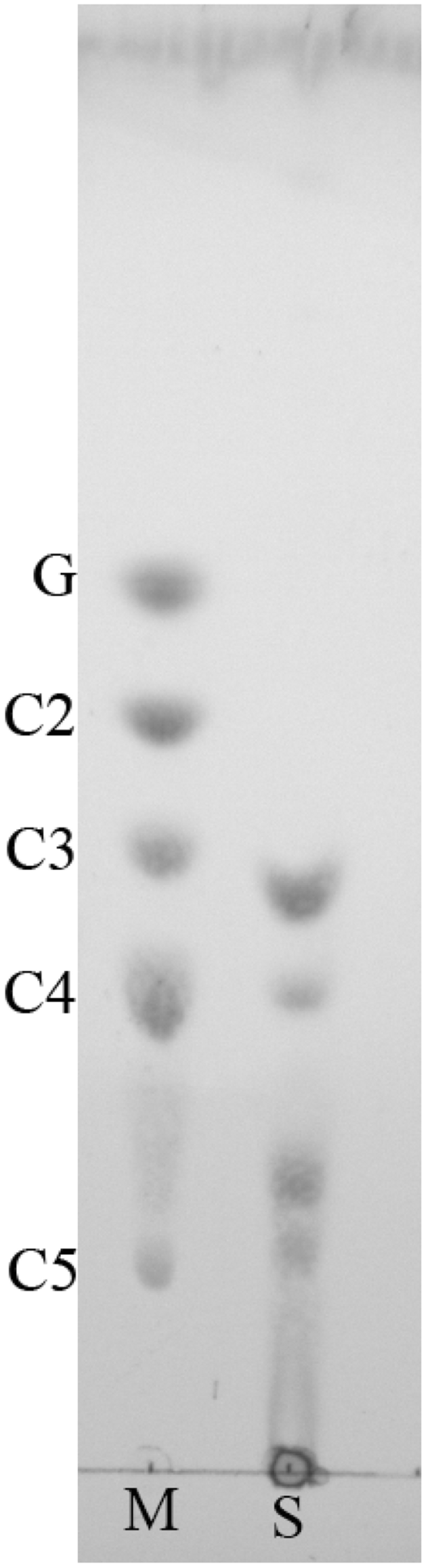 Optimized Soluble Expression Of A Novel Endoglucanase From Burkholderia Pyrrocinia In Escherichia Coli Springerlink