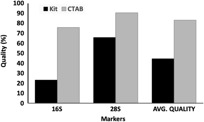 is modified ctab dna extraction method
