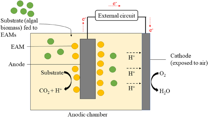 MEEP - Microbial/Enzymatic Electrochemistry Platform: Downloads : European  Fuel Cell Forum