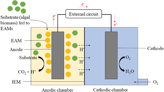 MEEP - Microbial/Enzymatic Electrochemistry Platform: Downloads : European  Fuel Cell Forum