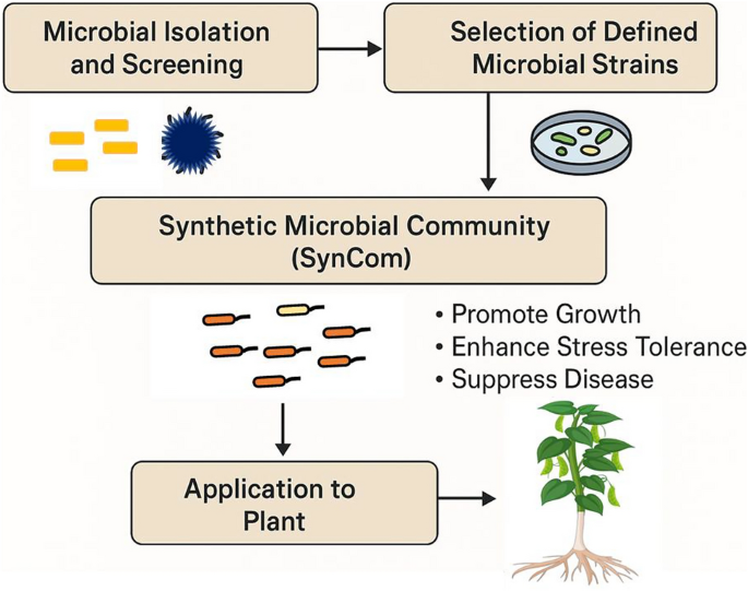 Rooted intelligence: Integrating AI, Omics, and Synthetic biology to ...