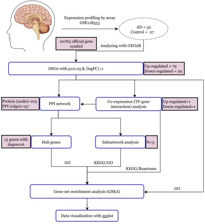 Microarray analysis for transcriptomic profiling in neuroscience ...