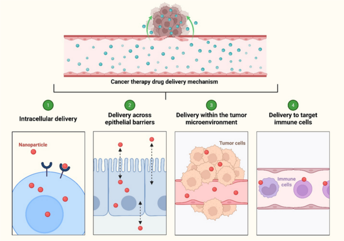 Advances in nanomedicine strategies for modulating the tumor ...