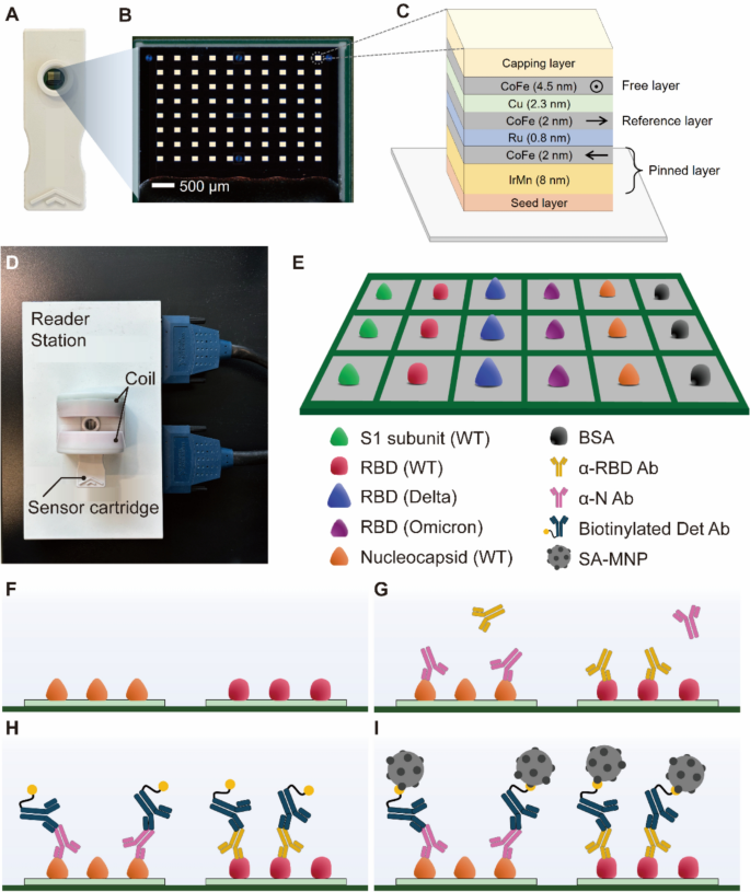 Multiplex Magnetic Biosensor Microarrays Facilitate Personalized ...