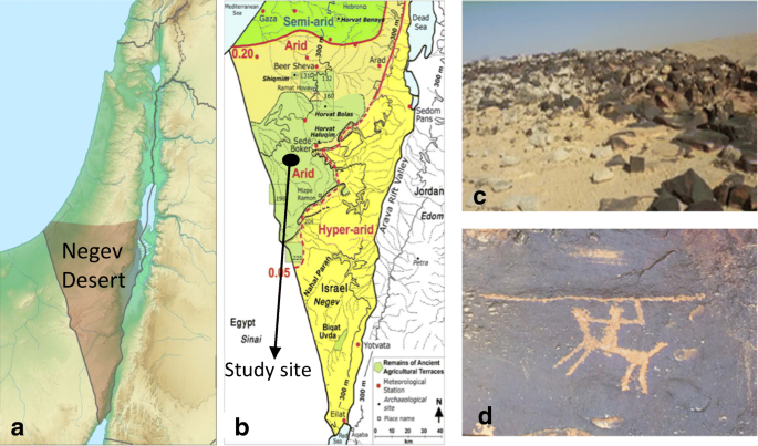 Seasonal diversity of the bacterial communities associated with petroglyphs  sites from the Negev Desert, Israel | Annals of Microbiology | Full Text