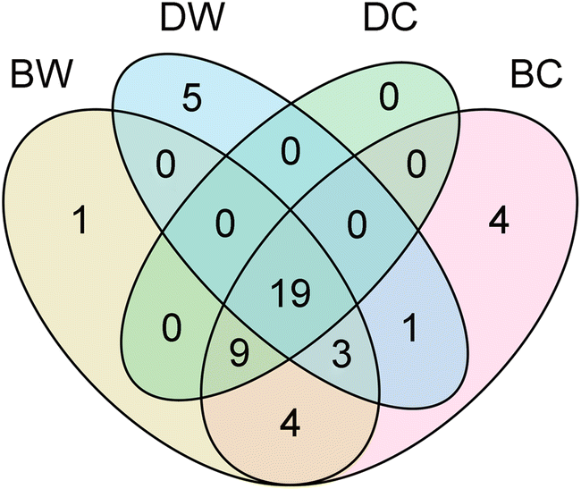 bacterial diversity in the