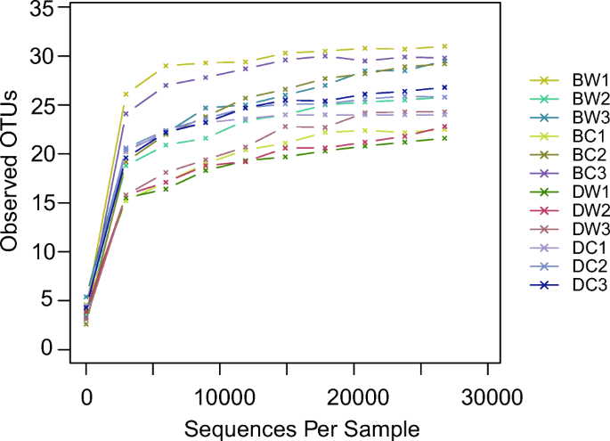 bacterial diversity in the