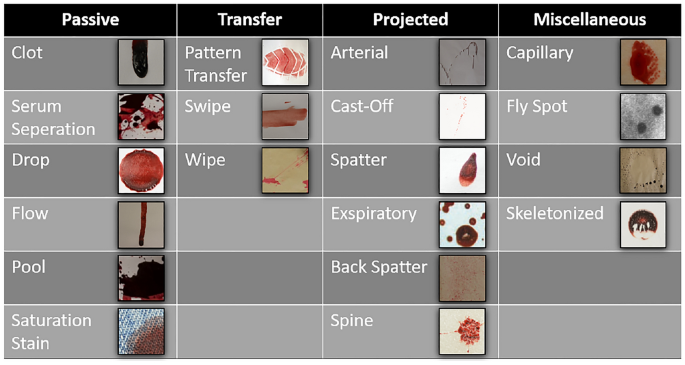 Automatic Classification of Bloodstains with Deep Learning Methods