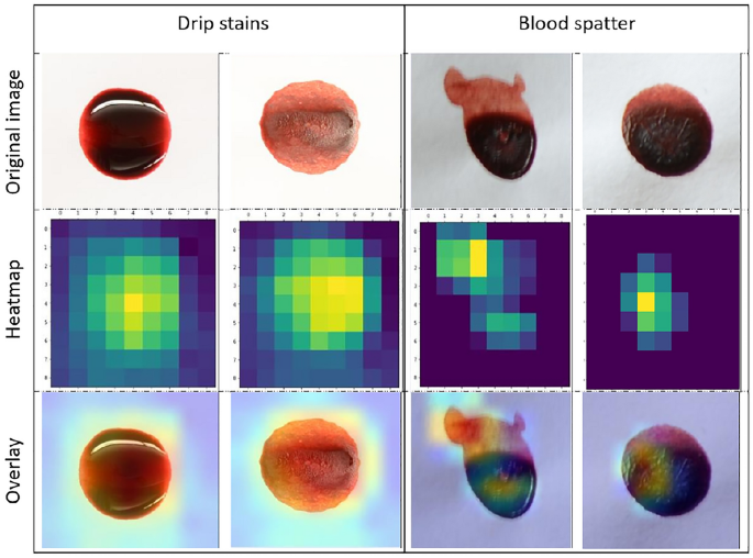 Automatic Classification of Bloodstains with Deep Learning Methods | KI -  Künstliche Intelligenz