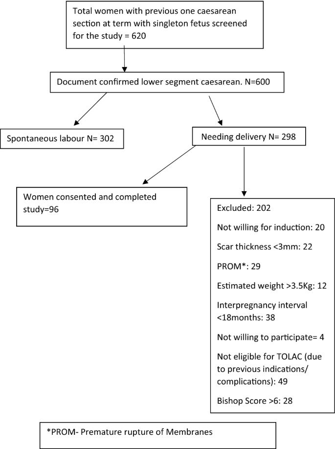 Outcome Of Induction Of Labor With Foley's Catheter In Women With Previous  One Cesarean Section With Unfavorable Cervix: An Experience From A Tertiary  Care Institute In South India | Springerlink
