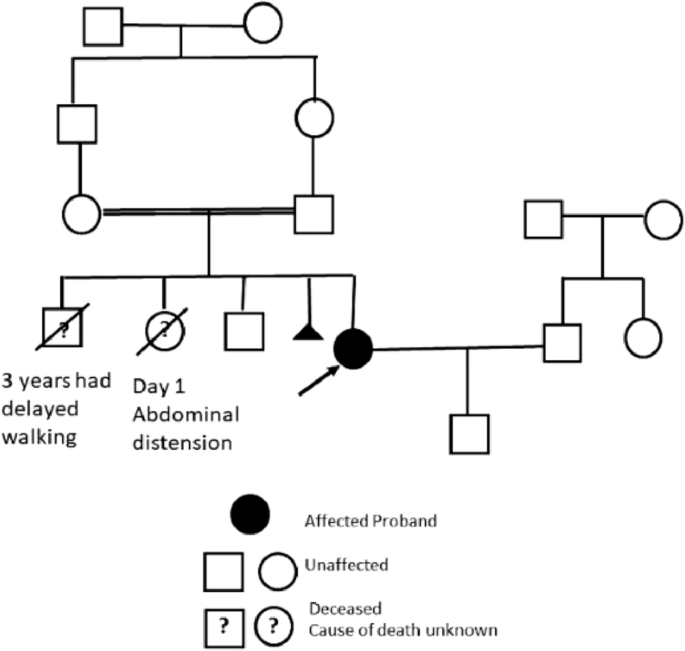 Niemann Pick disease 