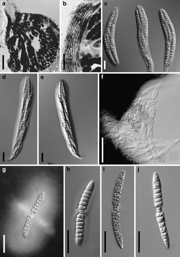 figure 39