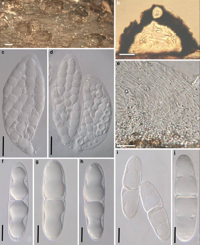 figure 55