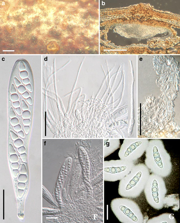 figure 56