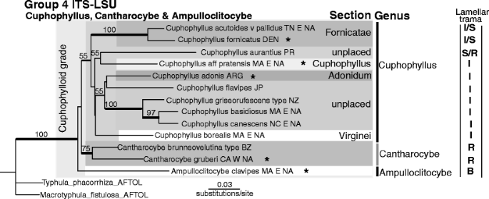 figure 22