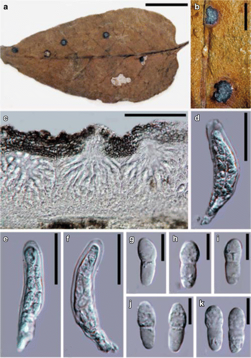 figure 106