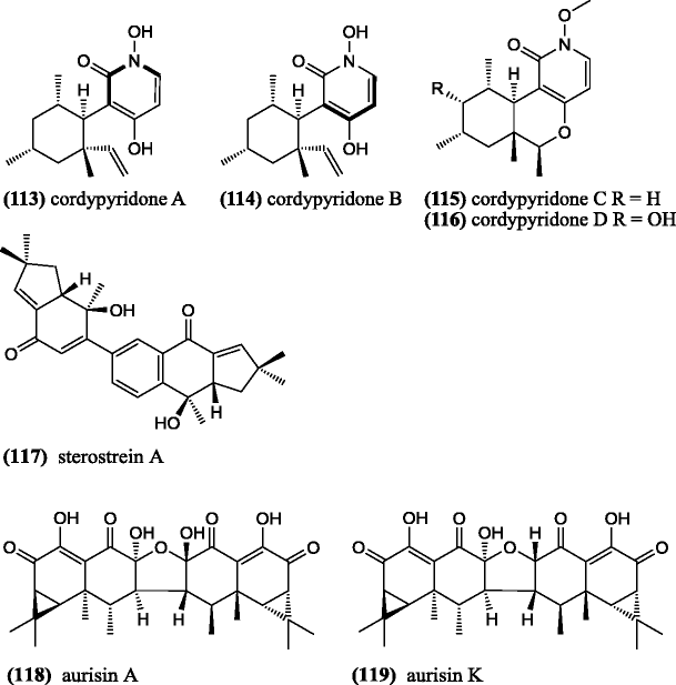Bioactive metabolites from macrofungi: ethnopharmacology ...