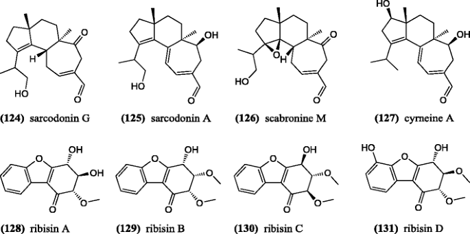 Bioactive metabolites from macrofungi: ethnopharmacology ...