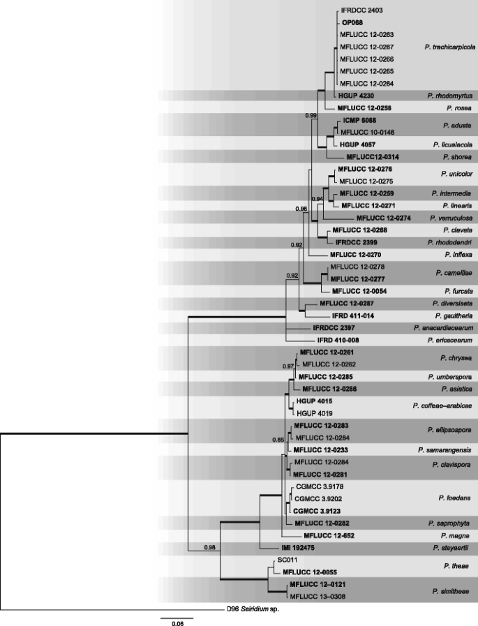 figure 18