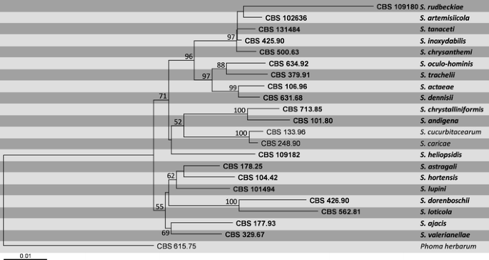 figure 25