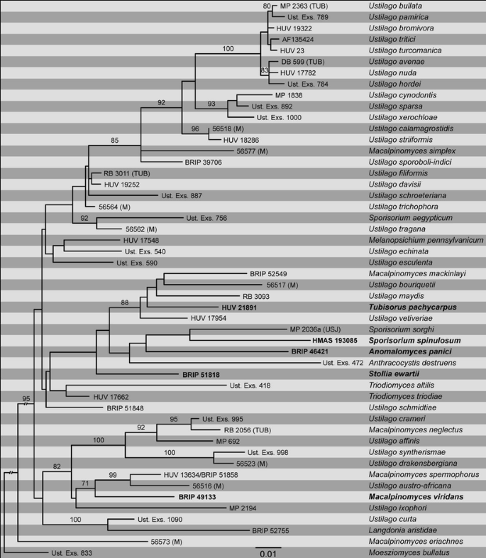 figure 26