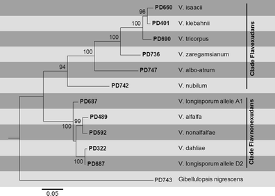 figure 27