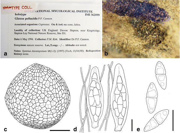 figure 30