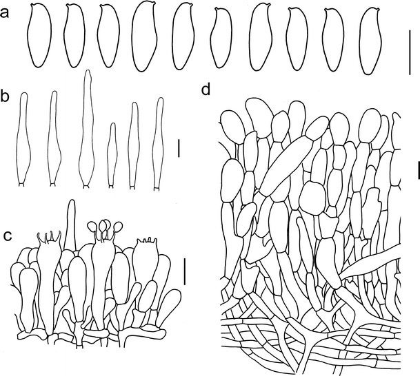 figure 16