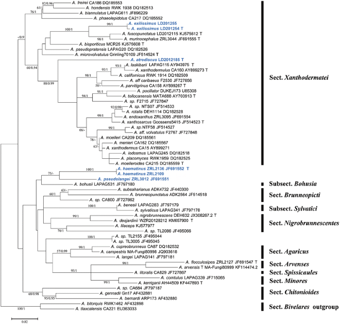 figure 106