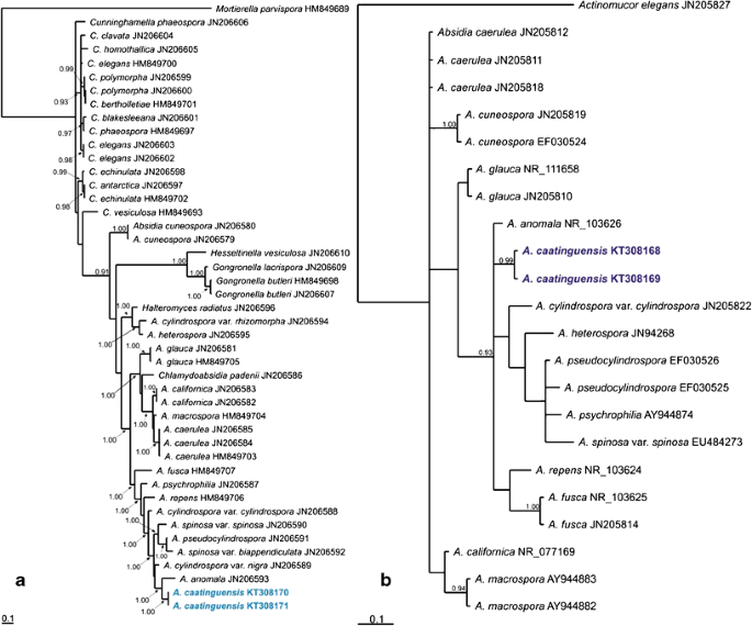 figure 163