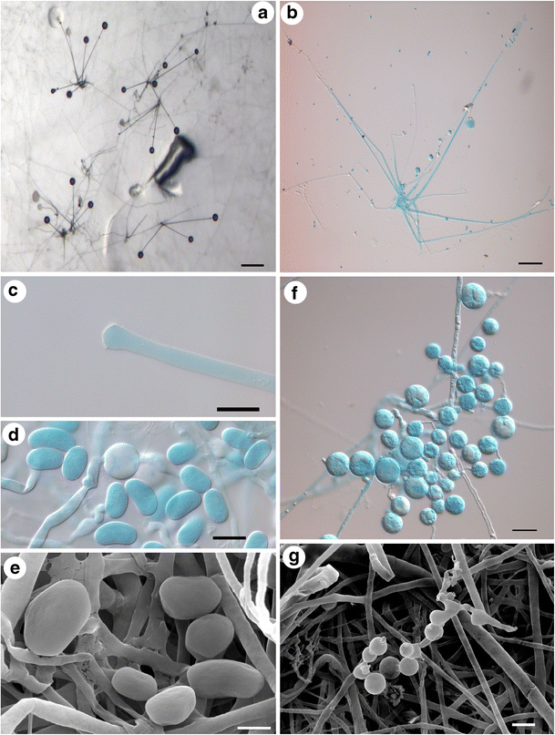 figure 171