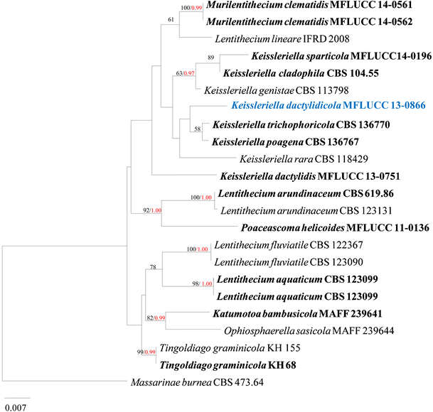 figure 29