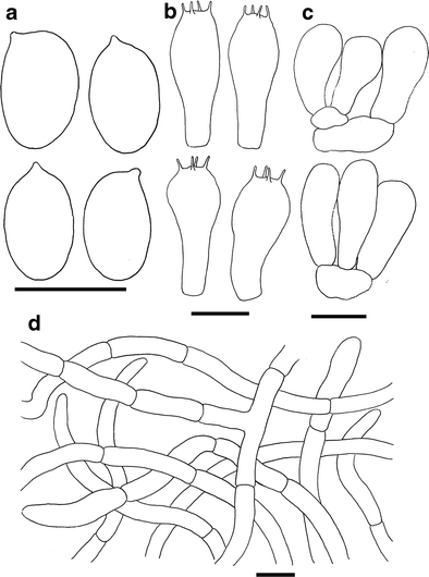 figure 30