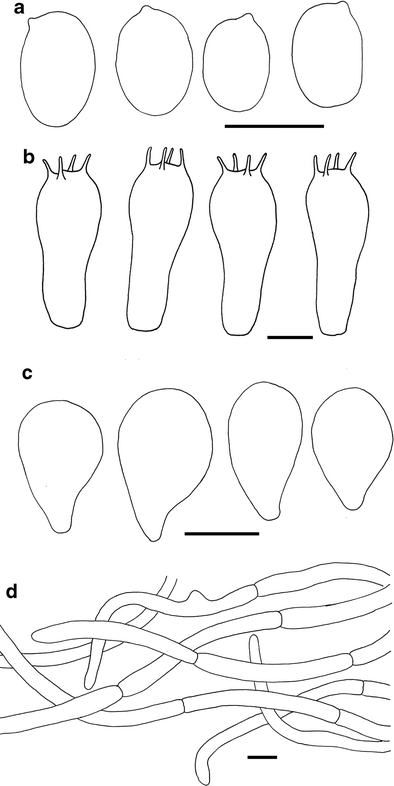 figure 33