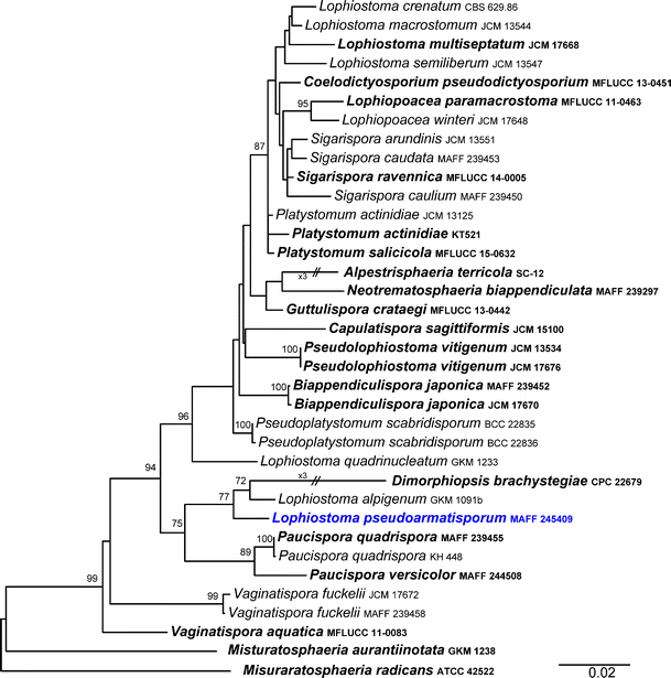 Fungal diversity notes 253–366: taxonomic and phylogenetic contributions to  fungal taxa | SpringerLink